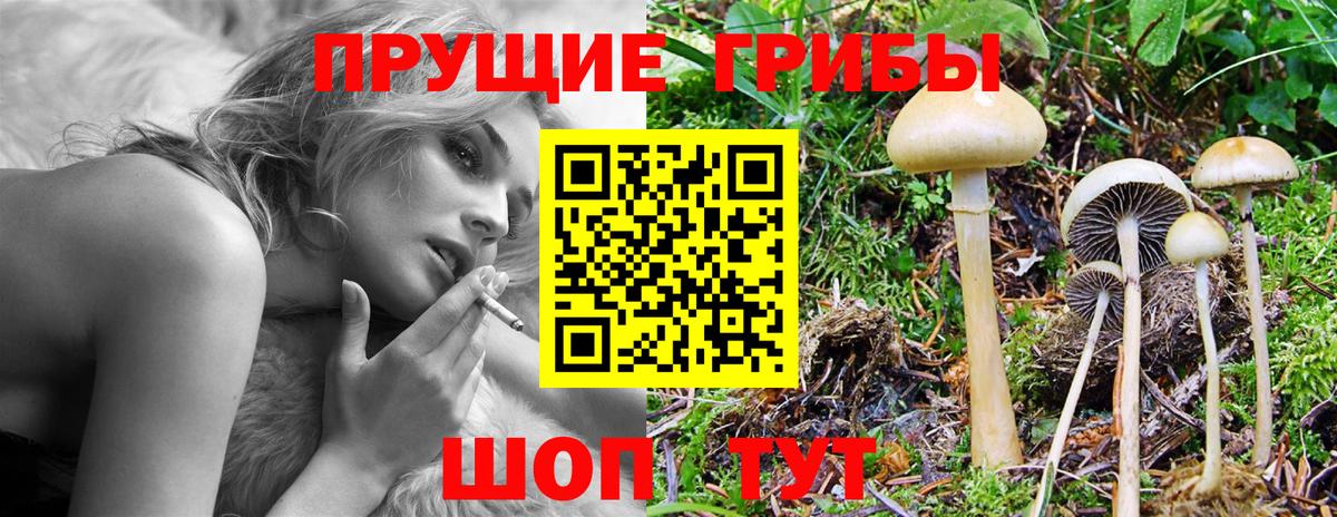 Ленинск-Кузнецкий  Галлюциногенные грибы ЛСД  купить   Вход с VPN 